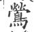 莺(宋·印刷字体·广韵)