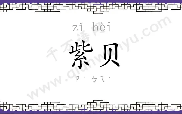 紫贝