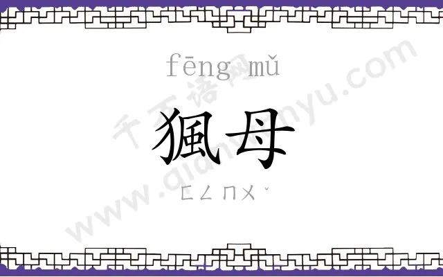 猦母