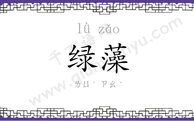 绿藻