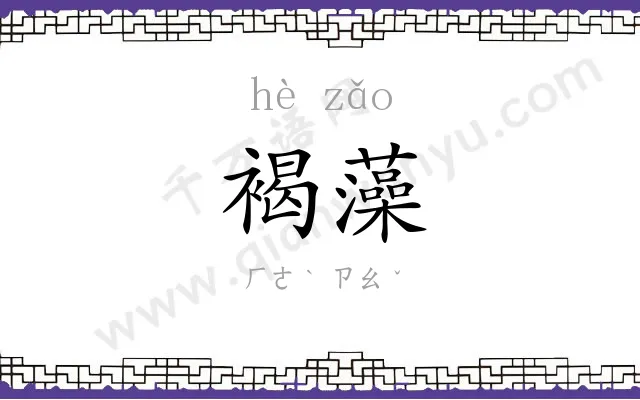 褐藻