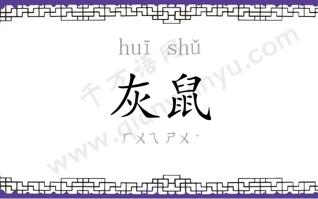 灰鼠