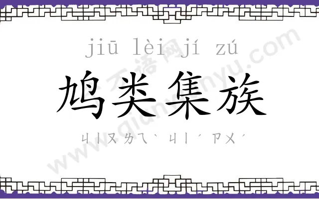 鸠类集族 鸠类集族