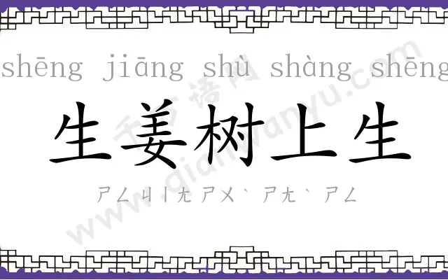 生姜树上生