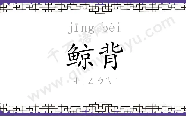 鲸背