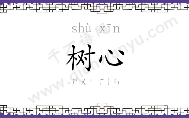 树心