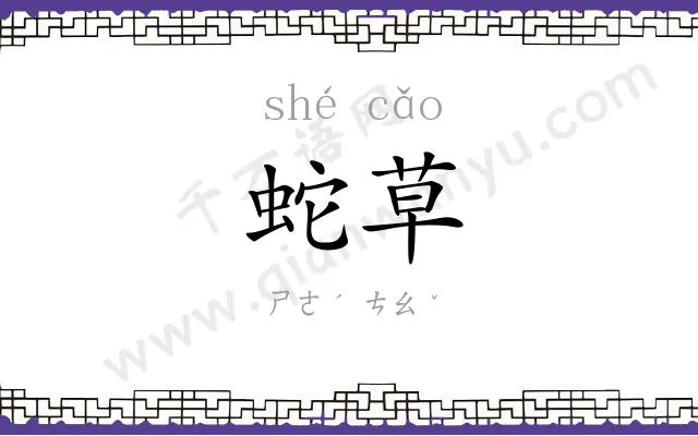 蛇草