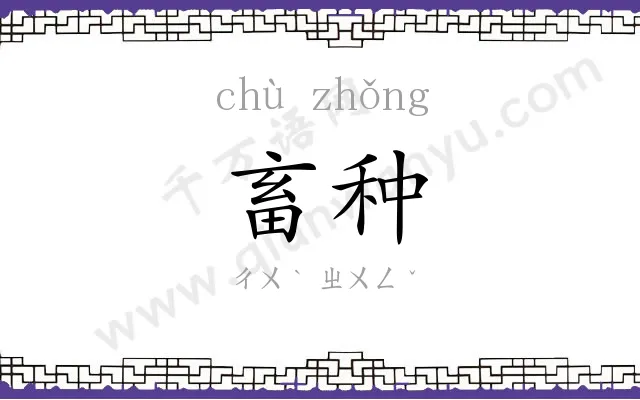 畜种