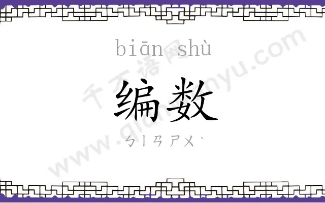 编数