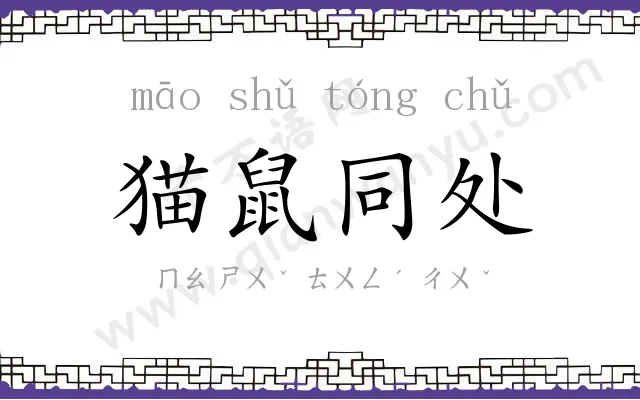 猫鼠同处 猫鼠同处