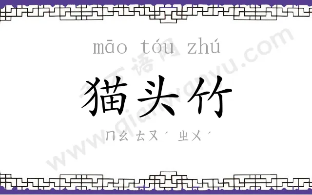 猫头竹