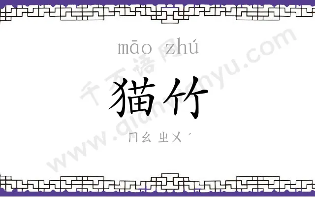 猫竹