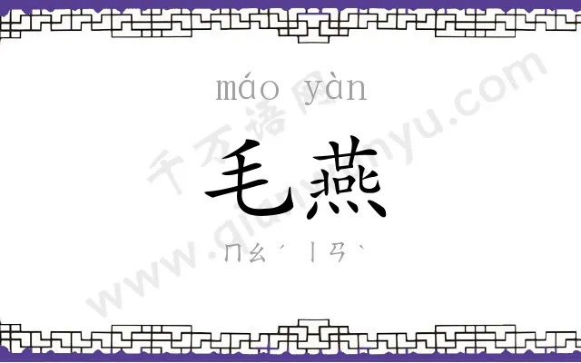 毛燕