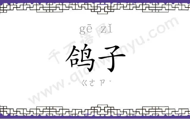 鸽子