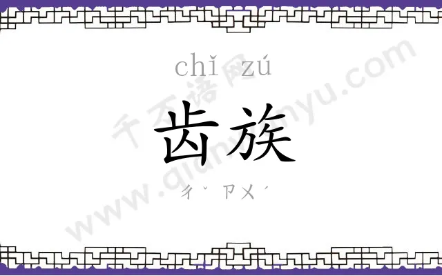 齿族