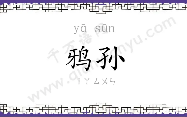 鸦孙