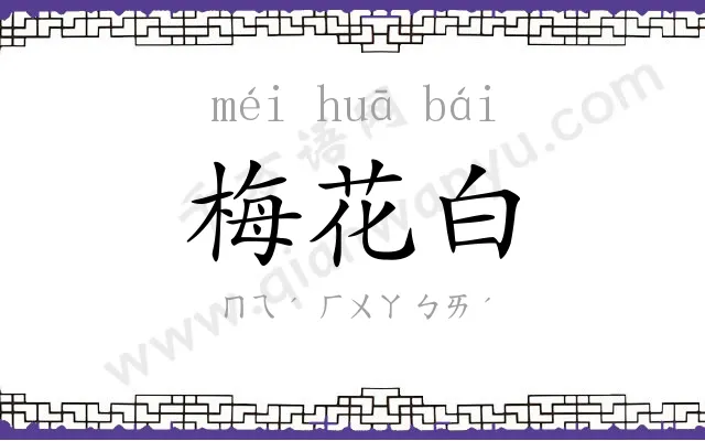 梅花白