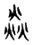 焱(宋·传抄·古文四声韵)