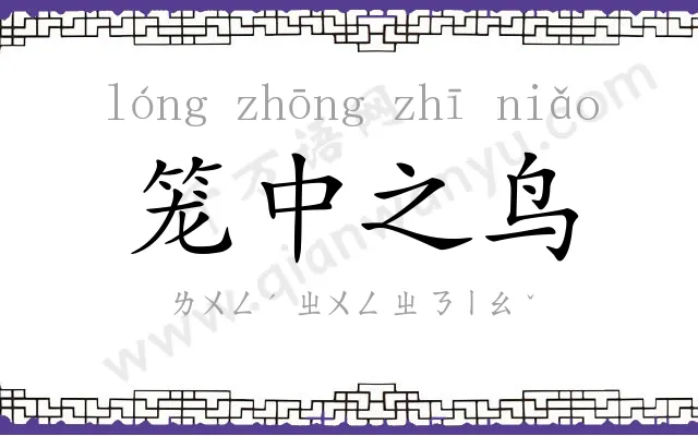 笼中之鸟 笼中之鸟