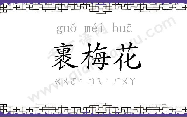 裹梅花