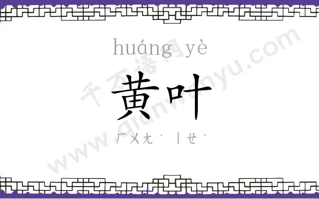 黄叶