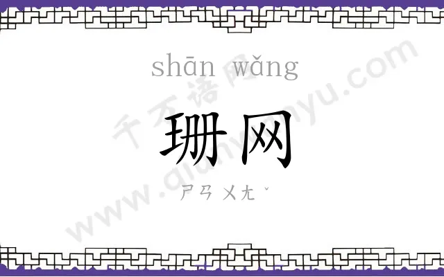珊网