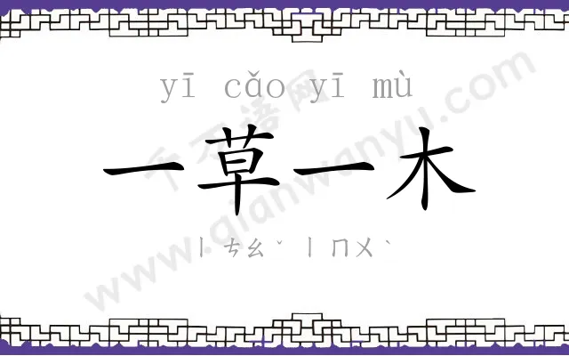 一草一木