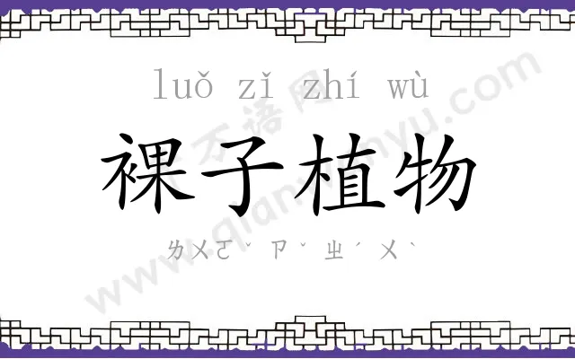 裸子植物