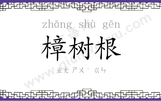 樟树根
