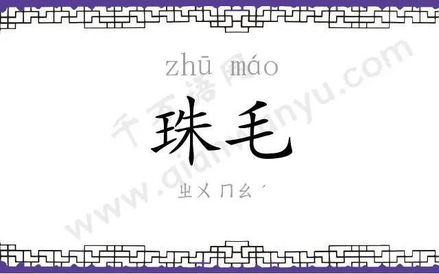 珠毛