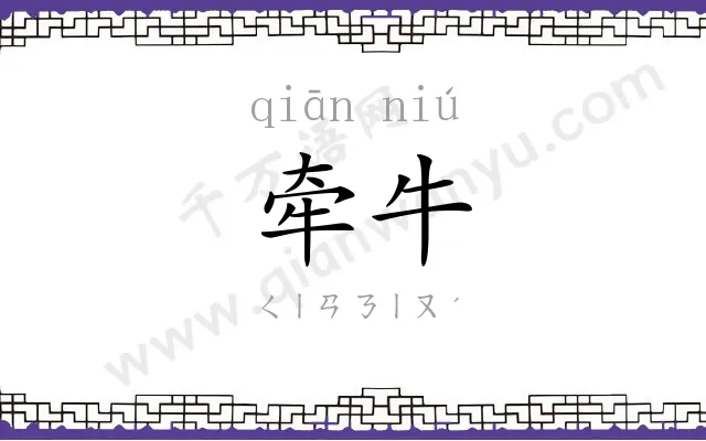 牵牛