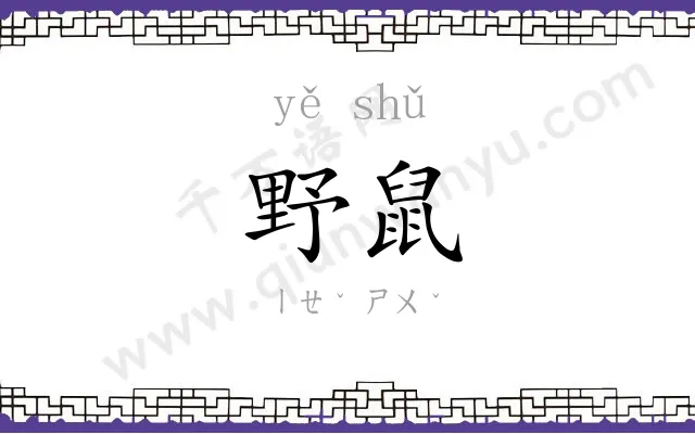 野鼠