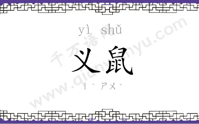 义鼠