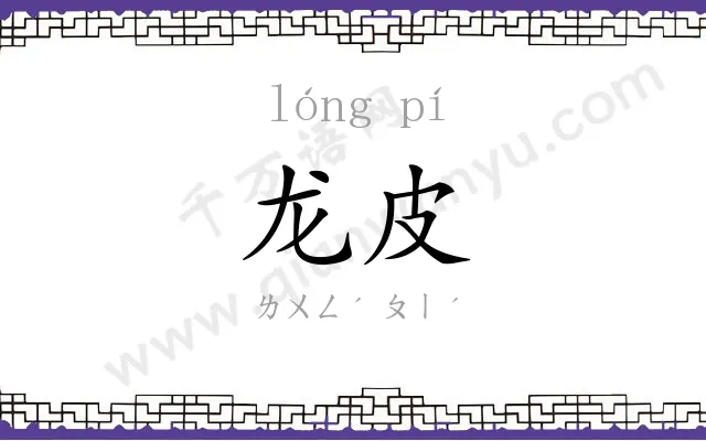 龙皮
