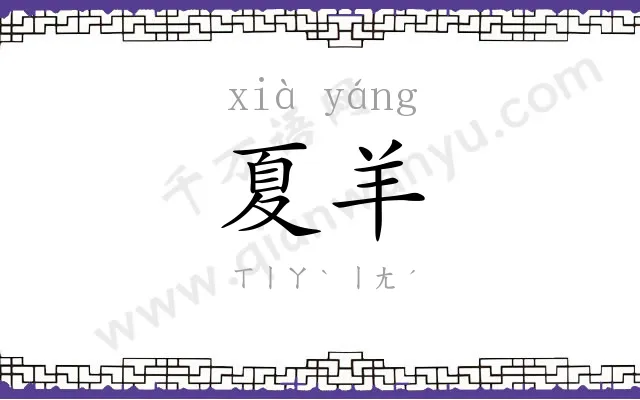 夏羊