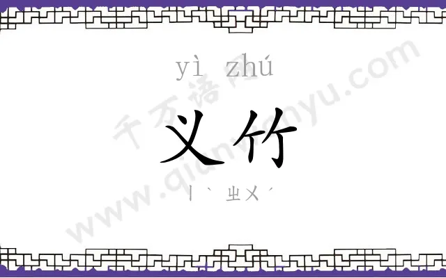 义竹