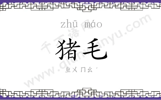 猪毛
