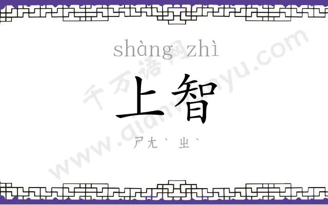 上智