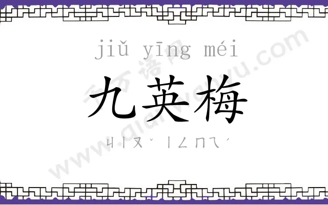 九英梅
