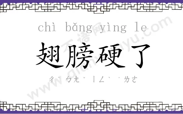 翅膀硬了 翅膀硬了