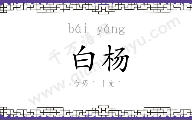 白杨