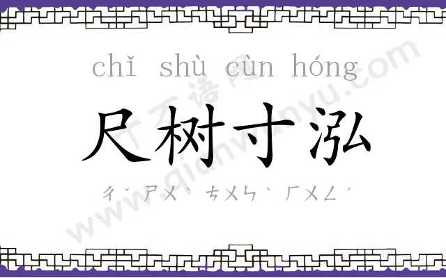 尺树寸泓
