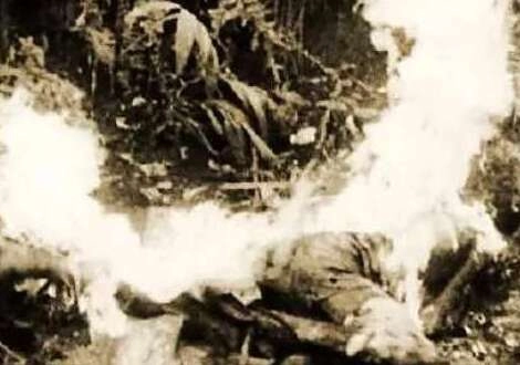 1537407972485760.png image.png