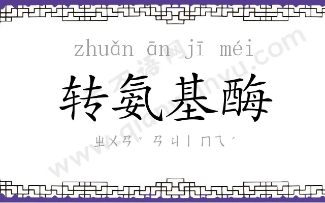 转氨基酶 转氨基酶