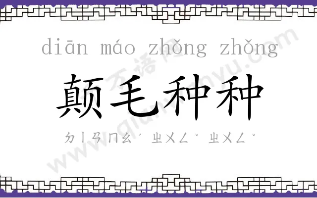 颠毛种种