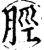 脛(宋·印刷字体·增韵)