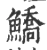 鱎(宋·印刷字体·广韵)