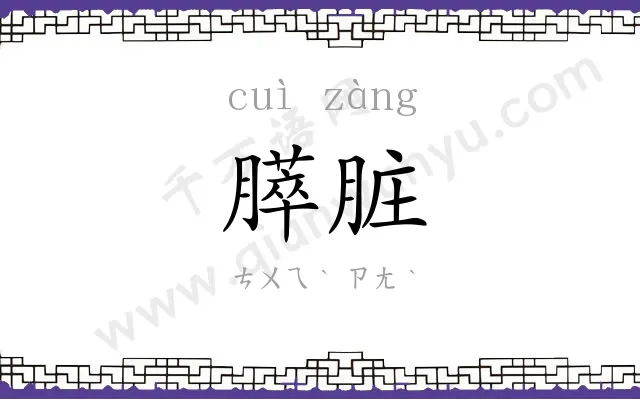 膵脏