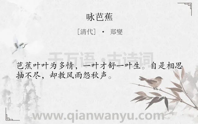 《咏芭蕉》作者是清代的郑燮.本诗词属于咏物;抒情;哀怨类诗词.诗词全文约共32字.