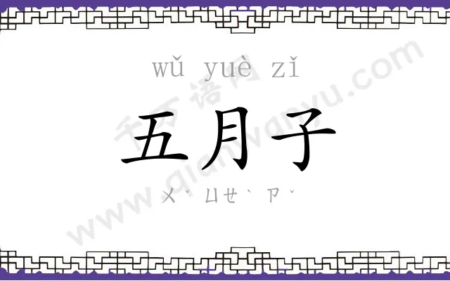 五月子